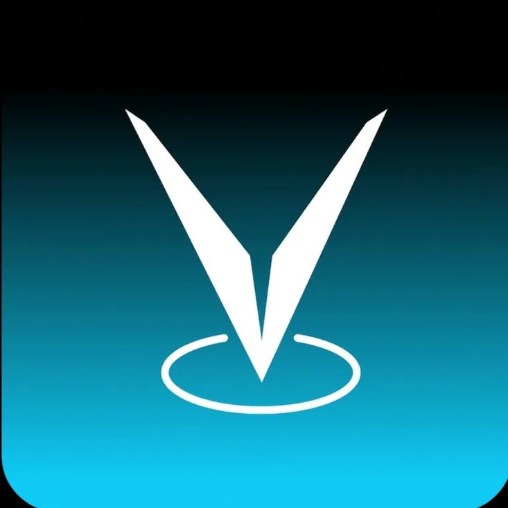 Vizipin logo